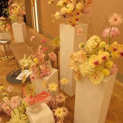 THE SORAKUEN の写真3枚目