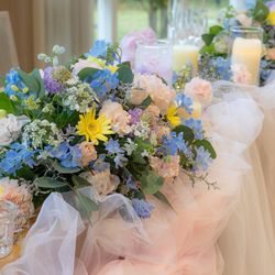 ベル・カシェットの写真22枚目