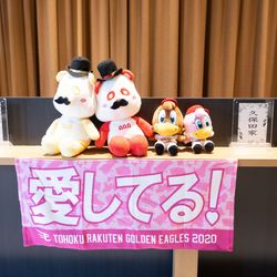 ベル・カシェットの写真26枚目