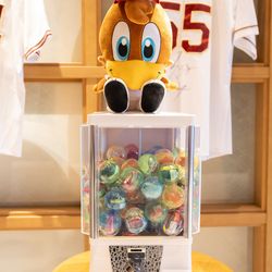 ベル・カシェットの写真22枚目