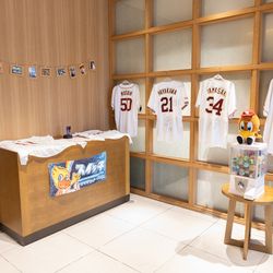 ベル・カシェットの写真23枚目