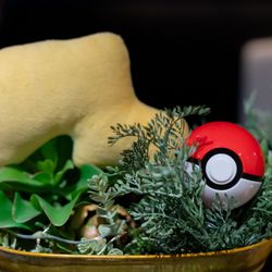 ラグナヴェール名古屋の写真29枚目