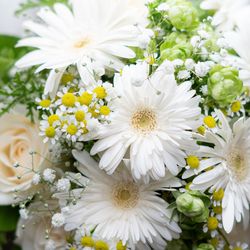 ラグナヴェール名古屋の写真30枚目