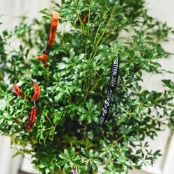 定禅寺ガーデンヒルズ迎賓館の写真10枚目