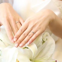 マリエール ガーデン バーベナ の写真7枚目