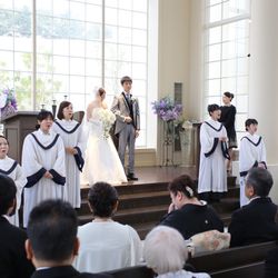 マリエール ガーデン バーベナ の写真18枚目