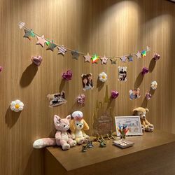 ベル・カシェットの写真25枚目