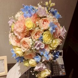 ベル・カシェットの写真28枚目