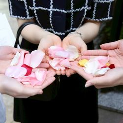 ベル・カシェットの写真4枚目