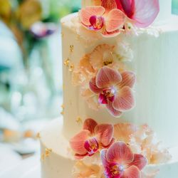 TIAD, オートグラフ コレクションの写真1枚目