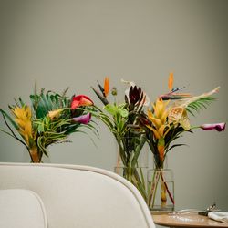 TIAD, オートグラフ コレクションの写真5枚目