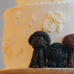 TOASTの写真29枚目