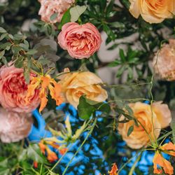 TOASTの写真15枚目