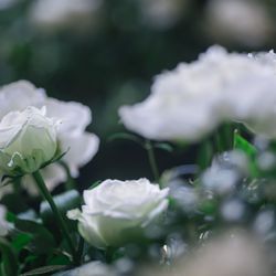 グランド ハイアット 東京の写真5枚目