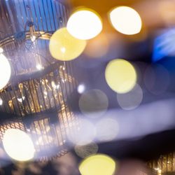 ラソールガーデン大阪の写真32枚目