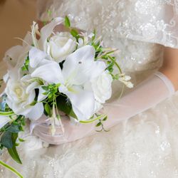 THE JAPONAIS LISERJUの写真1枚目