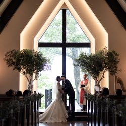 パラッツォ ドゥカーレ 麻布の写真7枚目