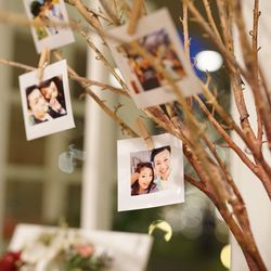 ララシャンス 博多の森の写真34枚目