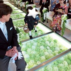 ラグナヴェール 金沢の写真2枚目