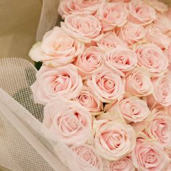 ラグナヴェール プレミア  LAGUNAVEIL PREMIERの写真36枚目