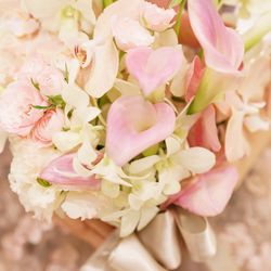 ラグナヴェール プレミア  LAGUNAVEIL PREMIERの写真23枚目