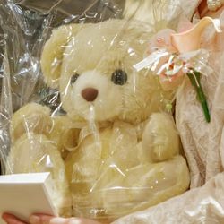 エレガンテヴィータの写真35枚目