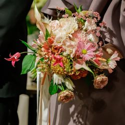 エレガンテヴィータの写真27枚目