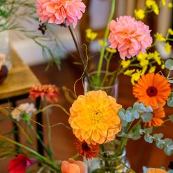 南青山サンタキアラ教会の写真1枚目