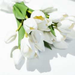 リストランテASOの写真16枚目