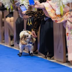 アニヴェルセル みなとみらい横浜の写真15枚目