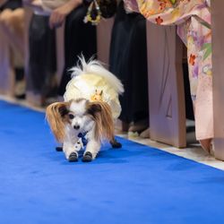 アニヴェルセル みなとみらい横浜の写真2枚目