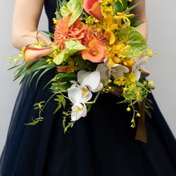 パラッツォ ドゥカーレ 麻布の写真4枚目