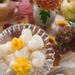 オーシャンプレイスの写真30枚目