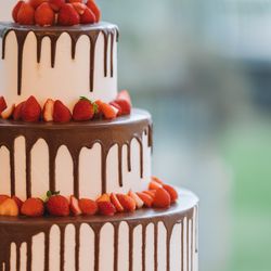 オーシャンプレイスの写真27枚目