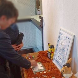 オーシャンプレイスの写真14枚目