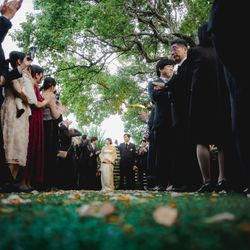 ポン・ヌフの写真4枚目