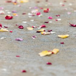 ベル・カシェットの写真3枚目