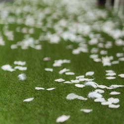 オーシャンプレイスの写真32枚目