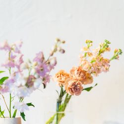 オーシャンプレイスの写真8枚目