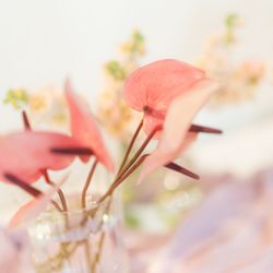 オーシャンプレイスの写真24枚目