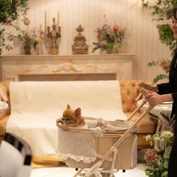 アンジェパティオの写真23枚目