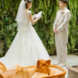 アンジェパティオの写真22枚目