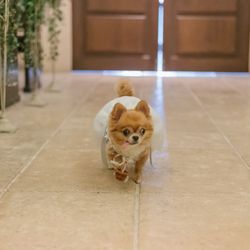 アンジェパティオの写真8枚目