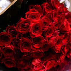 ザ マーカススクエア福岡の写真13枚目