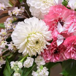 ザ マーカススクエア福岡の写真33枚目