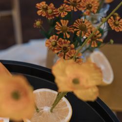 オーシャンプレイスの写真11枚目