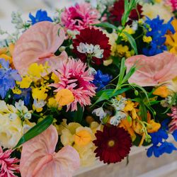 アニヴェルセル 立川の写真4枚目