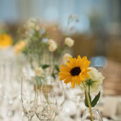 TOASTの写真11枚目