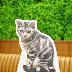 アルマリアン東京の写真35枚目