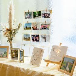 エレガンテヴィータの写真22枚目